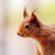 FreyaJC :iconfreyajc: