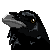:iconfreykir:
