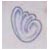 :iconfrgmntddreams: