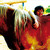 :iconfri-rapace: