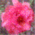 :iconfridasmask: