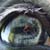 :iconfridgenthegarden: