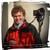 :iconfriedapi: