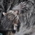 :iconfriedneurons07: