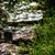 :iconfriendly-cookie:
