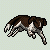 :iconfriendly-fish: