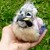 :iconfriendlybanana: