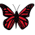 :iconfriendlybutterfly: