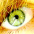 :iconfriendlyfirepit: