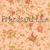 :iconfriendsandchoco: