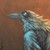 :iconfriesianhorsey: