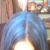 :iconfrigidula: