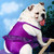 :iconfrikinsparkledesus: