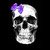 :iconfrillsandmorbidity: