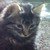 :iconfritter90210: