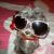 :iconfritzabelle: