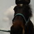 :iconfritzi009: