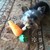 fritzygrl :iconfritzygrl: