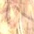 :iconfrkbing: