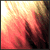 :iconfrksofa92: