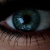 :iconfrlblutrausch: