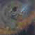 :iconfrodo-lives: