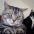 :iconfrodoninja135: