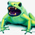 :iconfrog---plz:
