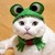 :iconfroggy25: