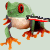 :iconfrogkiller432: