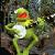 :iconfrogness: