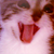 :iconfromnanda: