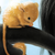 :iconfromnothing: