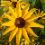 :iconfromthesoul: