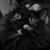 :iconfrontovsky: