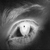 :iconfroop1207: