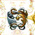 :iconfrost-the-arcticfox: