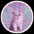 :iconfrost1988: