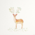 :iconfrost254: