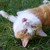 :iconfrostbite-love: