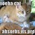 :iconfrostclaw13: