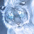 :iconfrostdragon02: