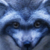 :iconfrosted-feather: