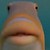 :iconfrostedunicorns: