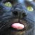 :iconfrostlady:
