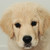 :iconfrosty-011: