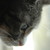 Frosty-the-pyro :iconfrosty-the-pyro: