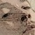:iconfrosty-toppings: