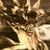 :iconfrostyspike: