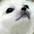 :iconfrostytails: